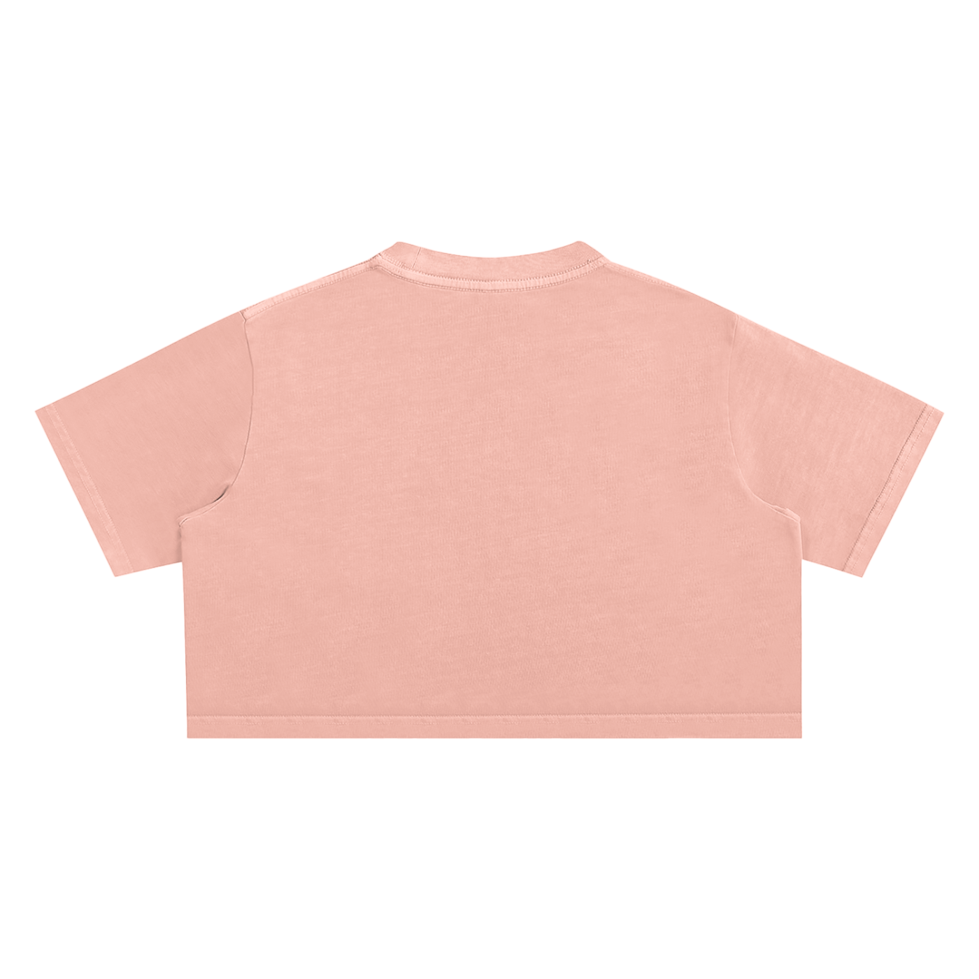 Shirt ,New ,crop top ,graphic t-shirt ,graphic tee ,butterfly t-shirt ,butterfly ,unisex t-shirt