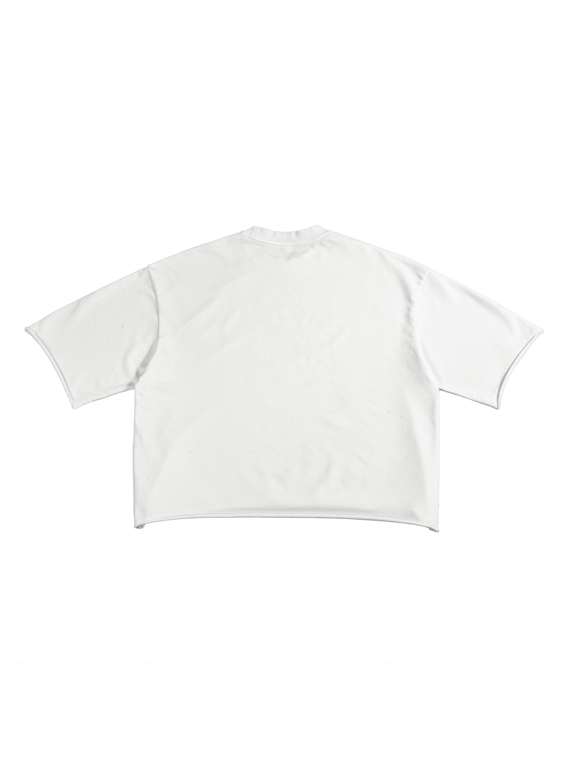 New,Shirts,Graphic T-shirt ,Fashion T-shirt ,Streetwear brand ,Men's shirt ,Women's shirt,Fashion tee,Boxy tee,Vibe Mi Clothing 